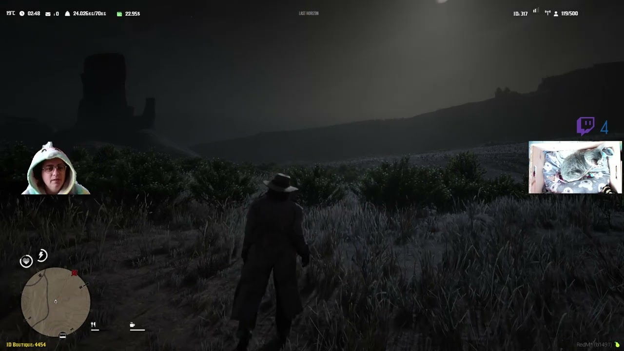 madame boulette rentre du mexique dnas le rp de red dead redemption 2