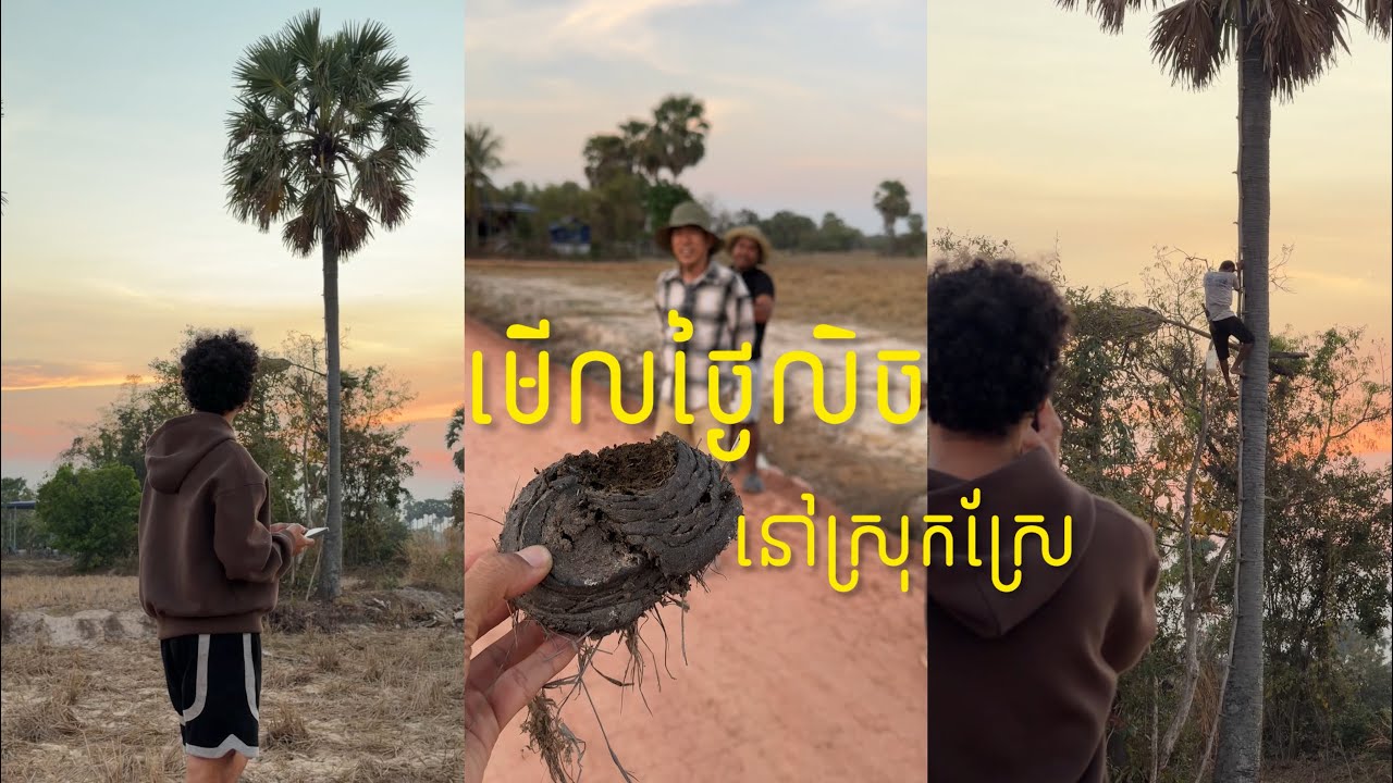 បរិយាកាសមើលថ្ងៃលិចនៅស្រុកស្រែ ពិតជាស្រស់ស្រាយណាស់