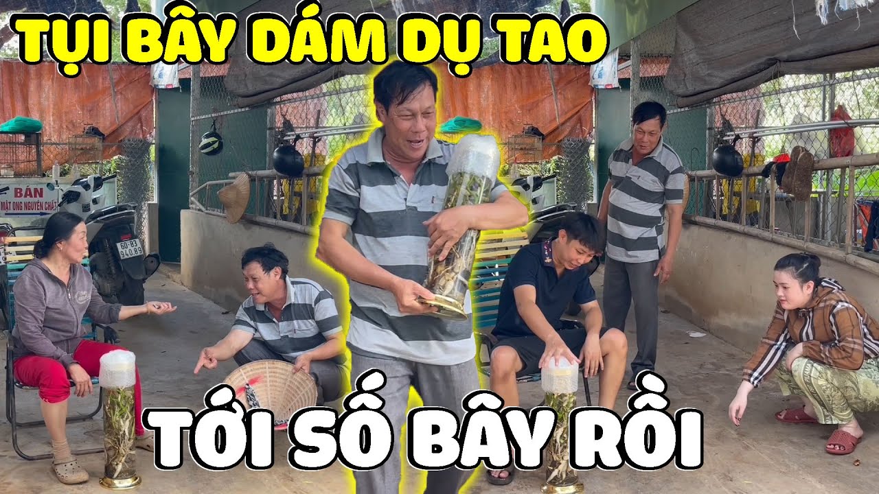 P2 Tía Phi Hùng Đã Biết Sự Thật Toang Hai Con Báo Rồi | Anh Ba Báo