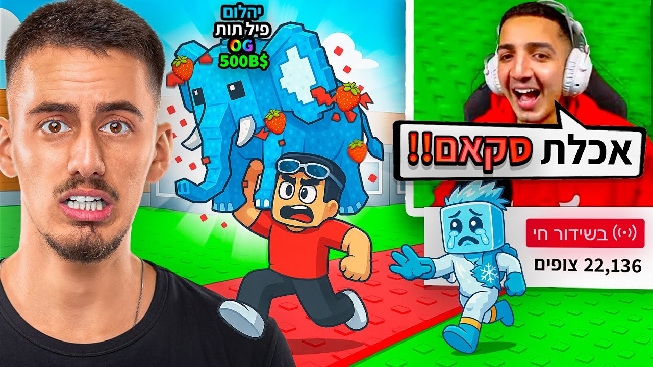 דה כהן עשה לי סקאם על הפיל תות ברובלוקס.. (נקמתי בו!!)