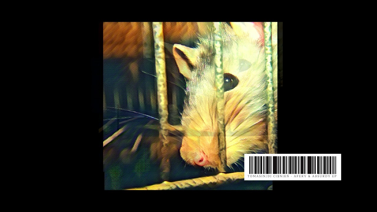 Tomasin/DJ Ciśnień - Rok Szczura