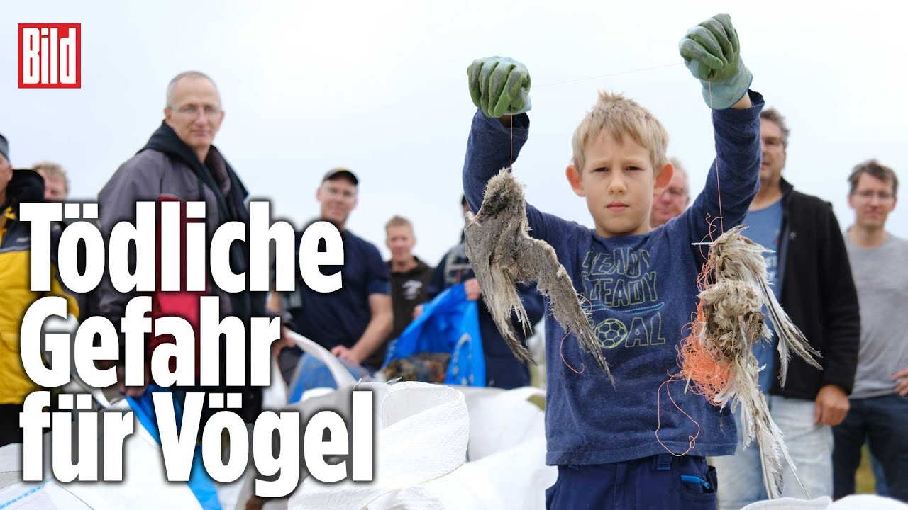 Helfer sammeln 6 Tonnen Müll von Vogelschutz-Insel