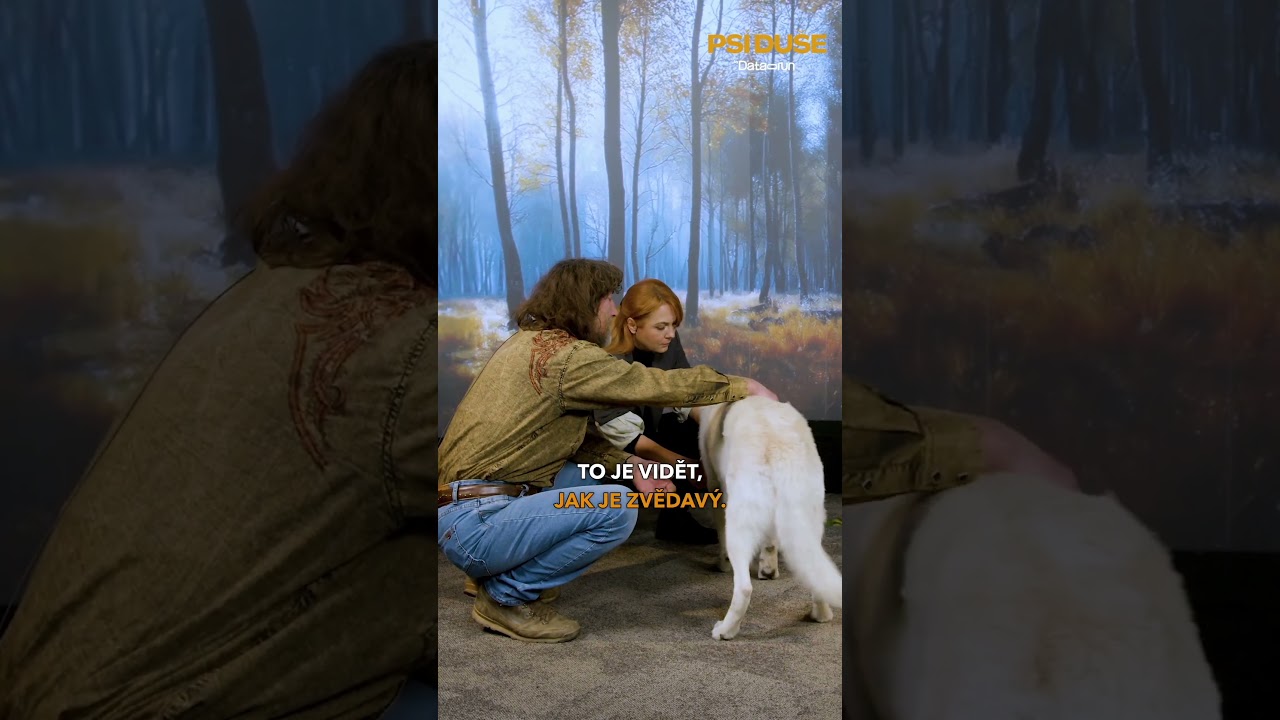 Ře&scaron;&iacute;te se psem nějak&yacute; probl&eacute;m? 👀 #datarun #podcast #psiduse #interview #vychovapsa