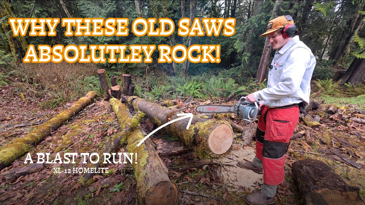 WHY THESE OLD CHAINSAWS ARE INCREDIBLE TO RUN EVEN TODAY! A 1960s Homelite XL-12 Run & Review