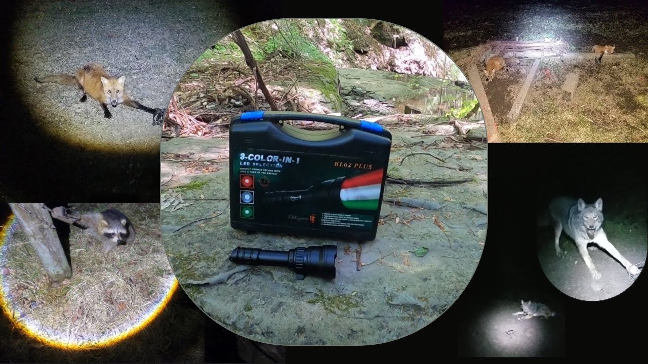 KL62 plus Odepro Flashlight #HuntingLight #PredatorLight #CampingLight #Boating