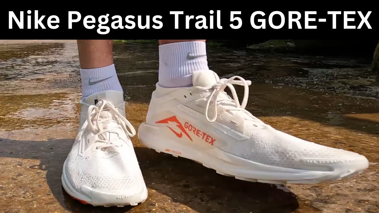Nike Pegasus Trail 5 GORE-TEX