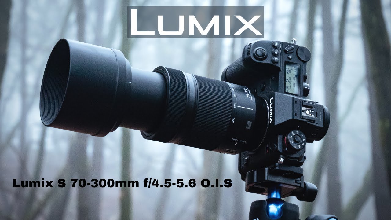 LUMIX S 70-300mm f/4.5-5.6 O.I.S | Foggy Woodland Photography
