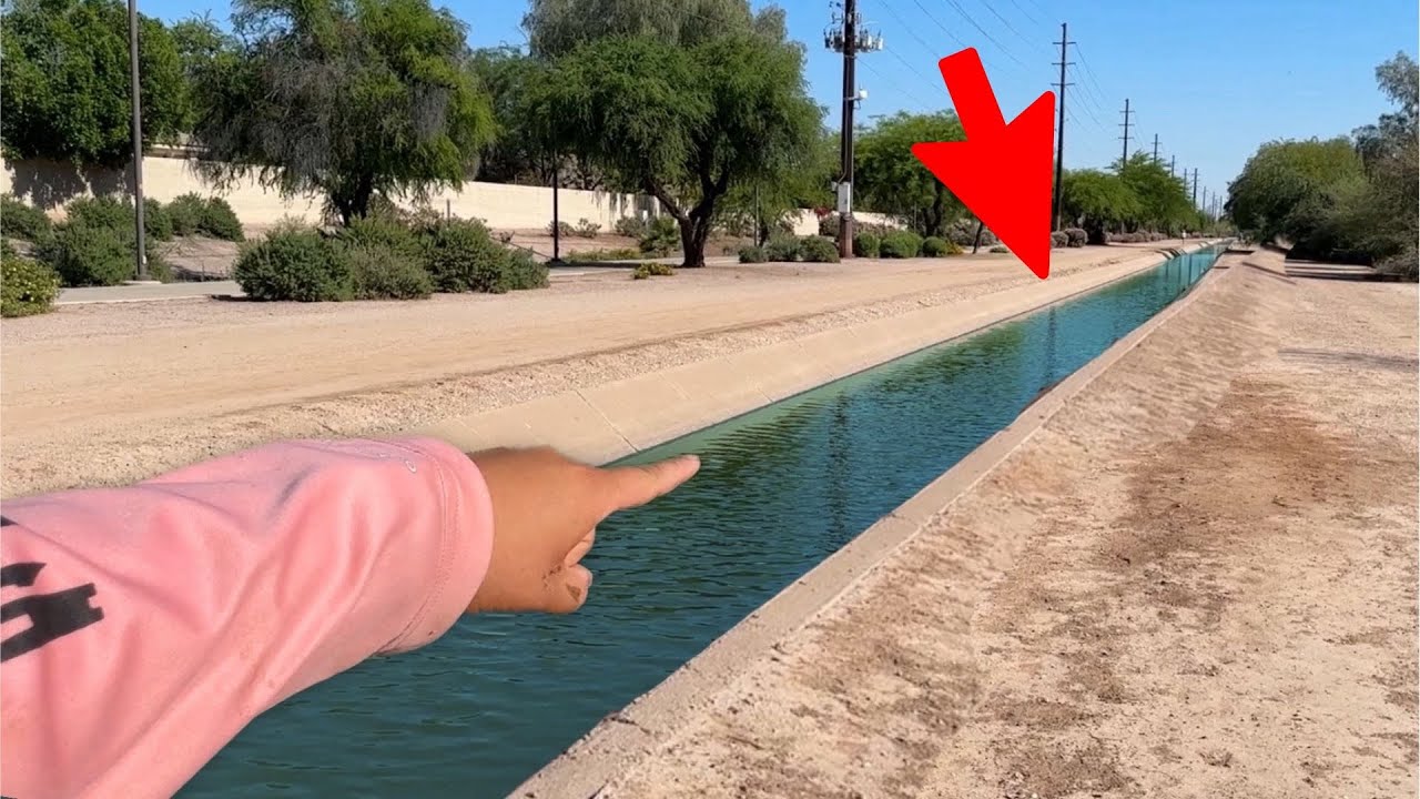 How Many Fish Live in This MICRO Canal? (Insane)