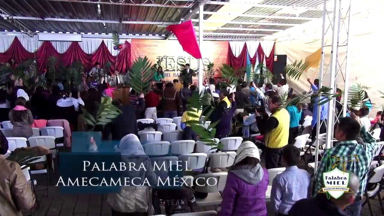 Alabanza Palabra Miel Amecameca