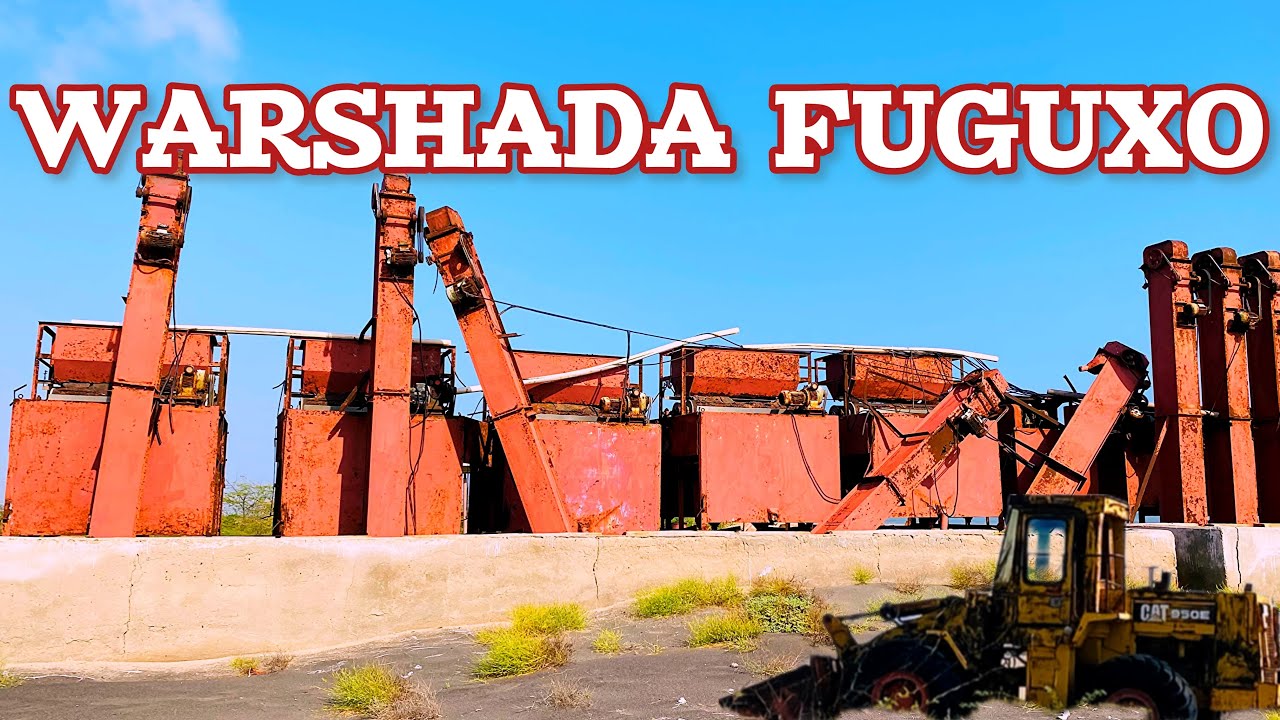 WARSHAD KU TAALA XEEBTA OO MUDDO AAN SHAQAYN !