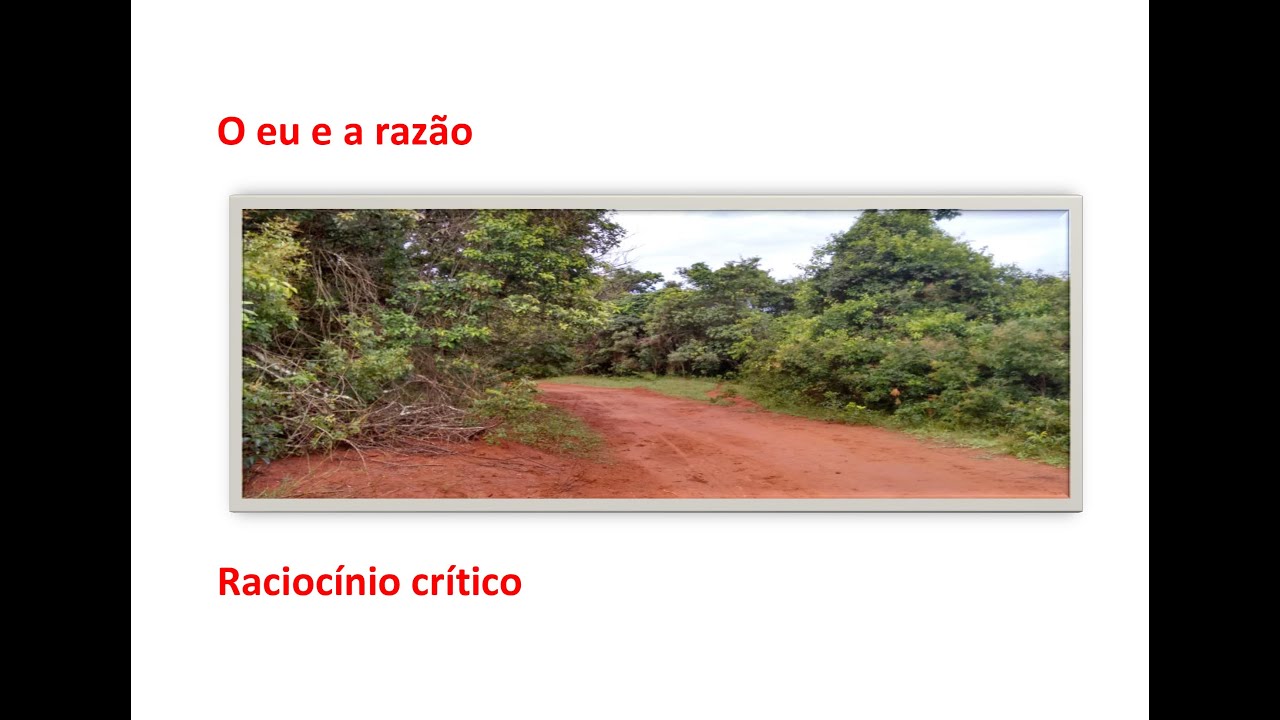 1 - O eu e a razão: Raciocínio crítico