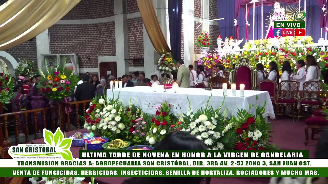 EN VIVO