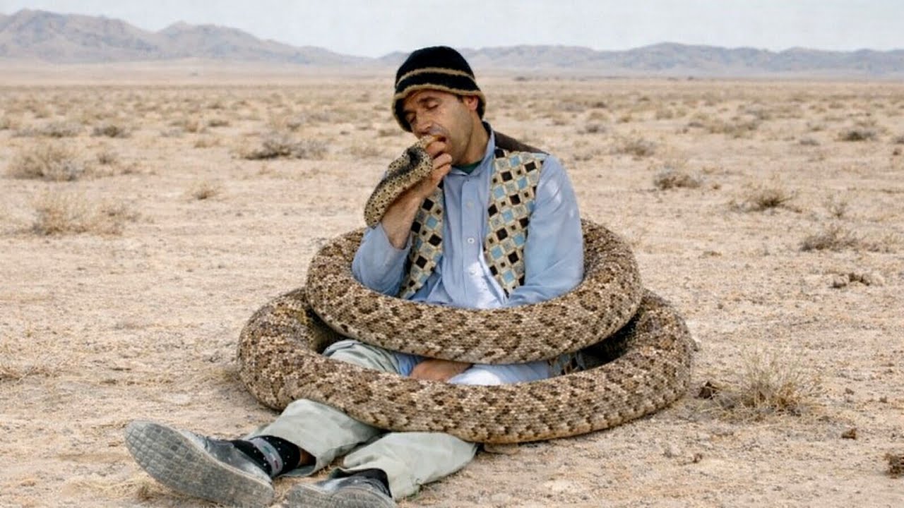 نظرگل را مار زد