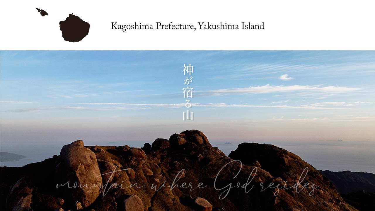 屋久島。神が宿る山 ［Yakushima: The Mountain Where Gods Reside］-東京カメラ部動画部門受賞作品