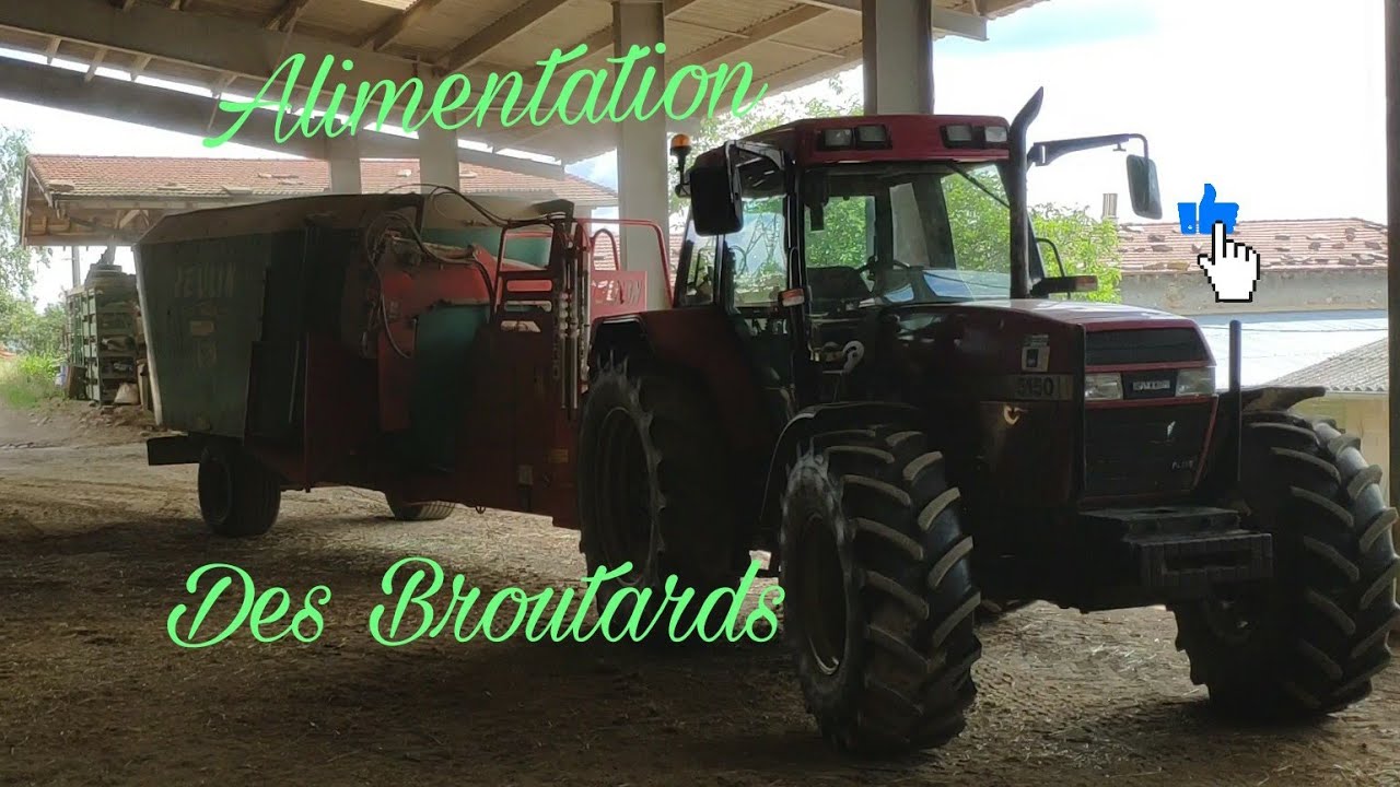 Alimentation des broutard 🐂