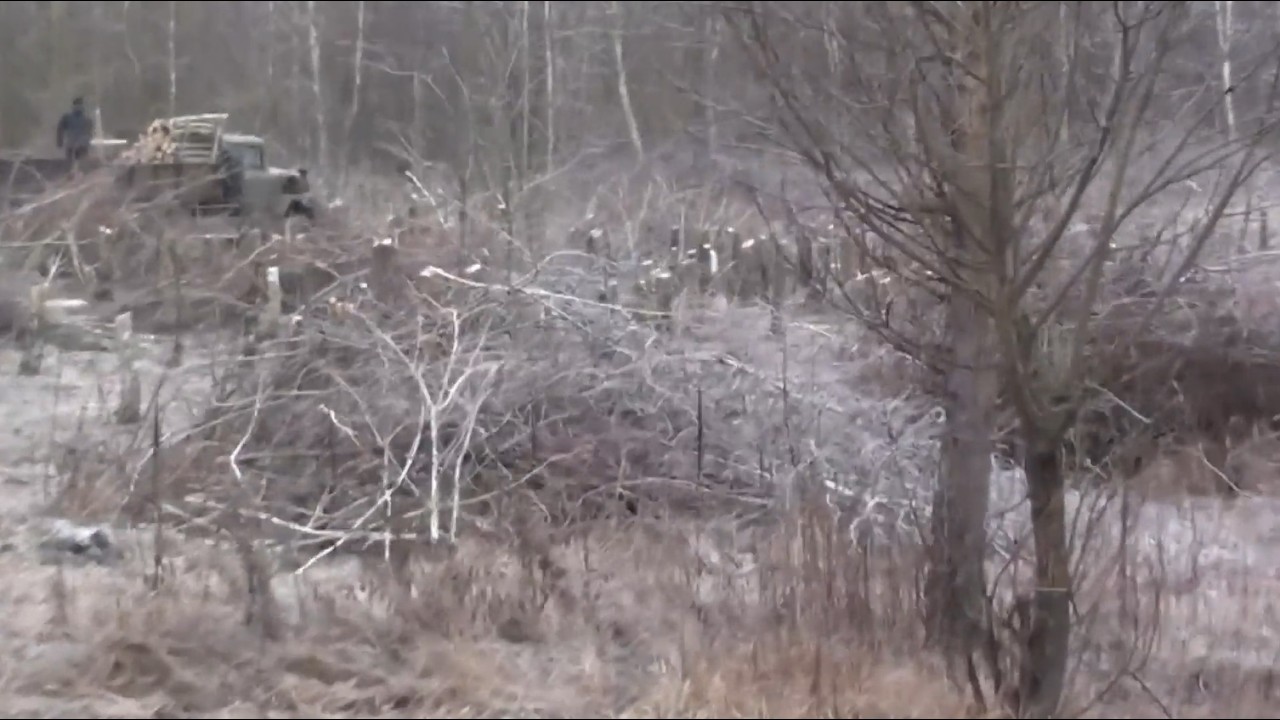 Продана земля. Задовго до війни було видно куди все іде.