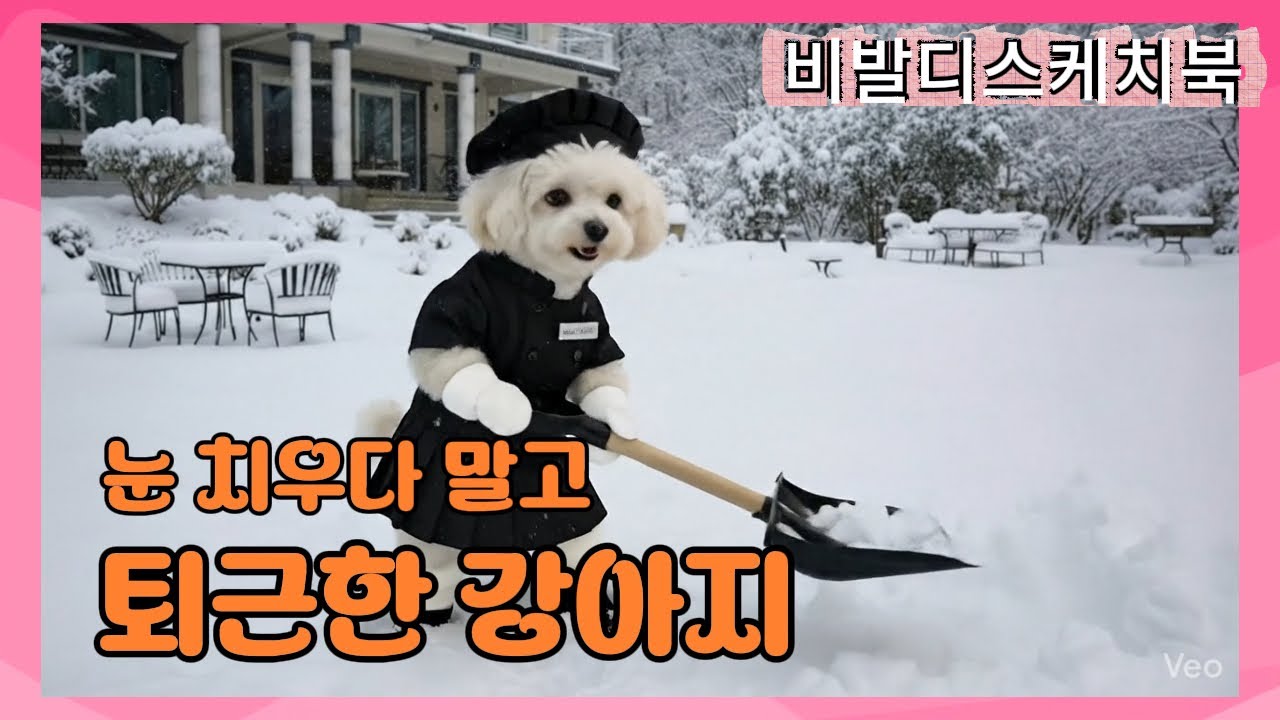 (홍천) 비발디스케치북 펜션 / 눈은 낭만이고, 나는 노동