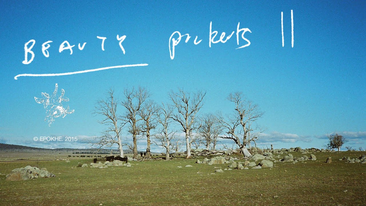 Beauty Pockets II