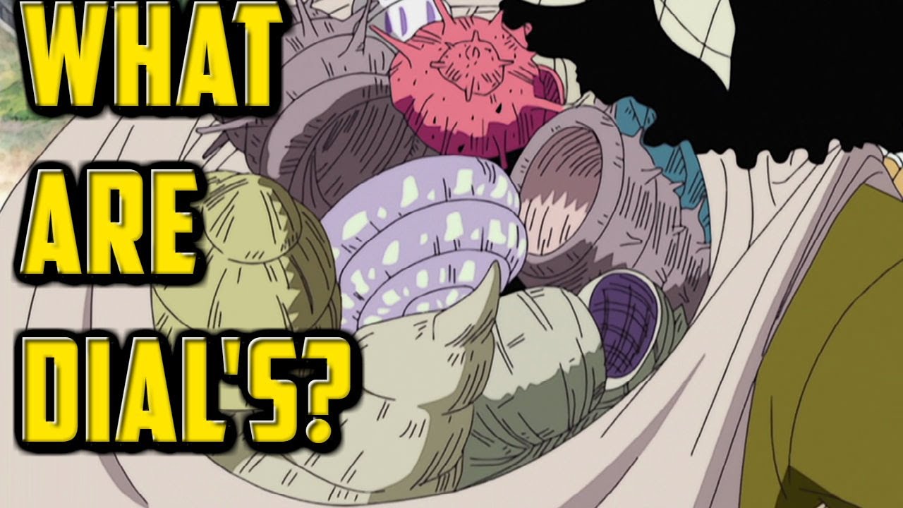 What Are Dials In One Piece?