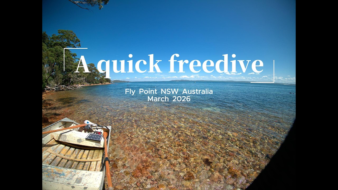 Freedive Fly Point Mar 26