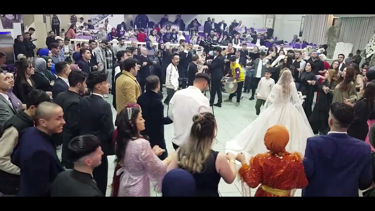 ilhan baran daweta ahmed & ayten