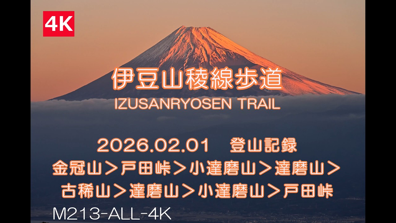 【Mreport213┃伊豆半島】伊豆山稜線歩道　金冠山＞戸田峠＞小達磨山＞達磨山＞古稀山＞達磨山＞小達磨山＞戸田峠　2026.02.01　登山記録　M213-ALL-4K　4K動画