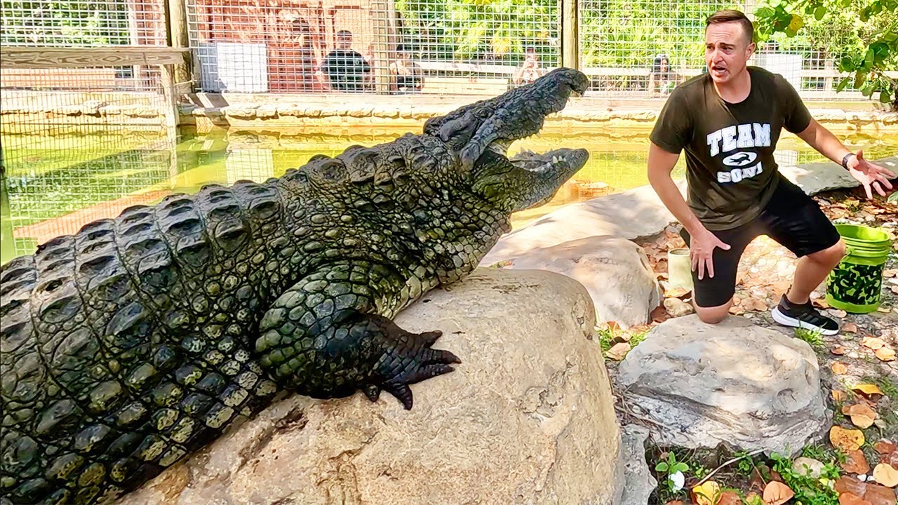 Private Tour of World's BEST Alligator Park!