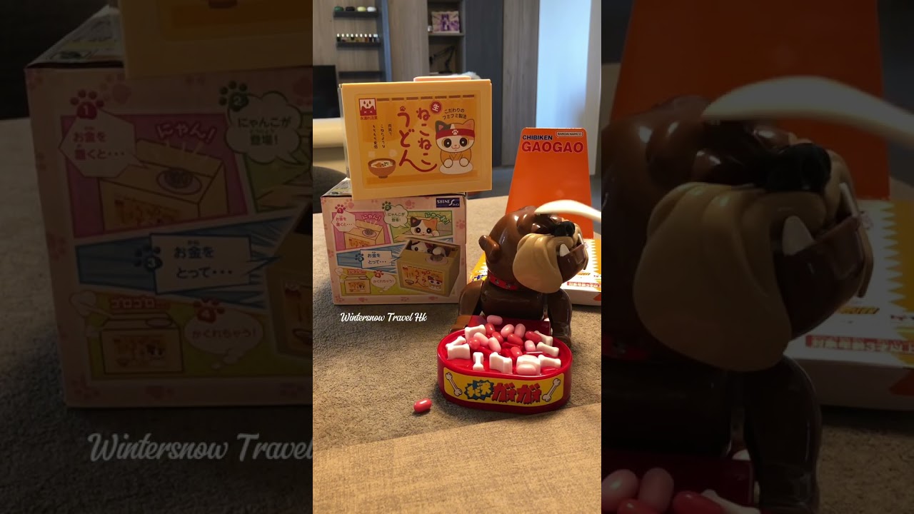 Feeding my Dog and Cat Pets 