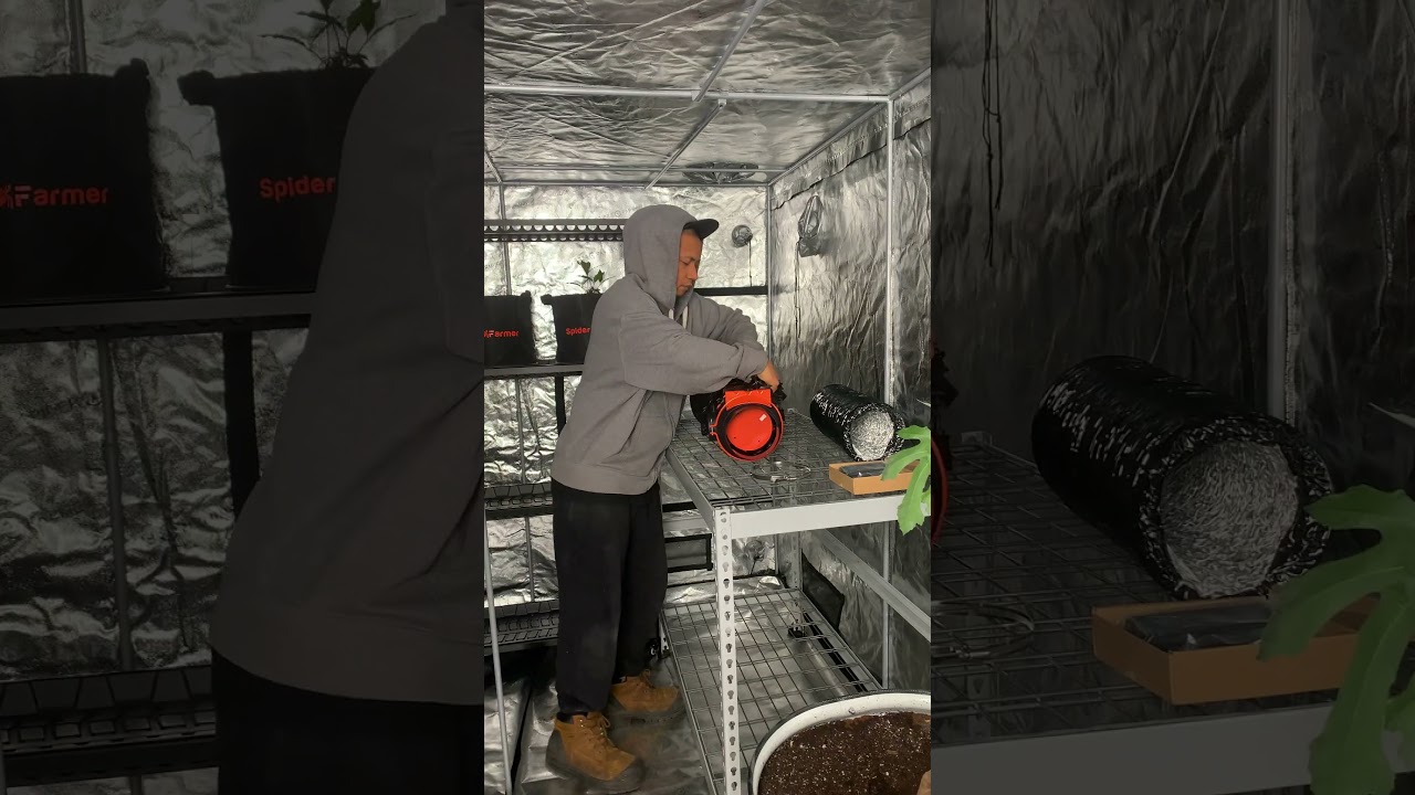 Garage Grow Tent