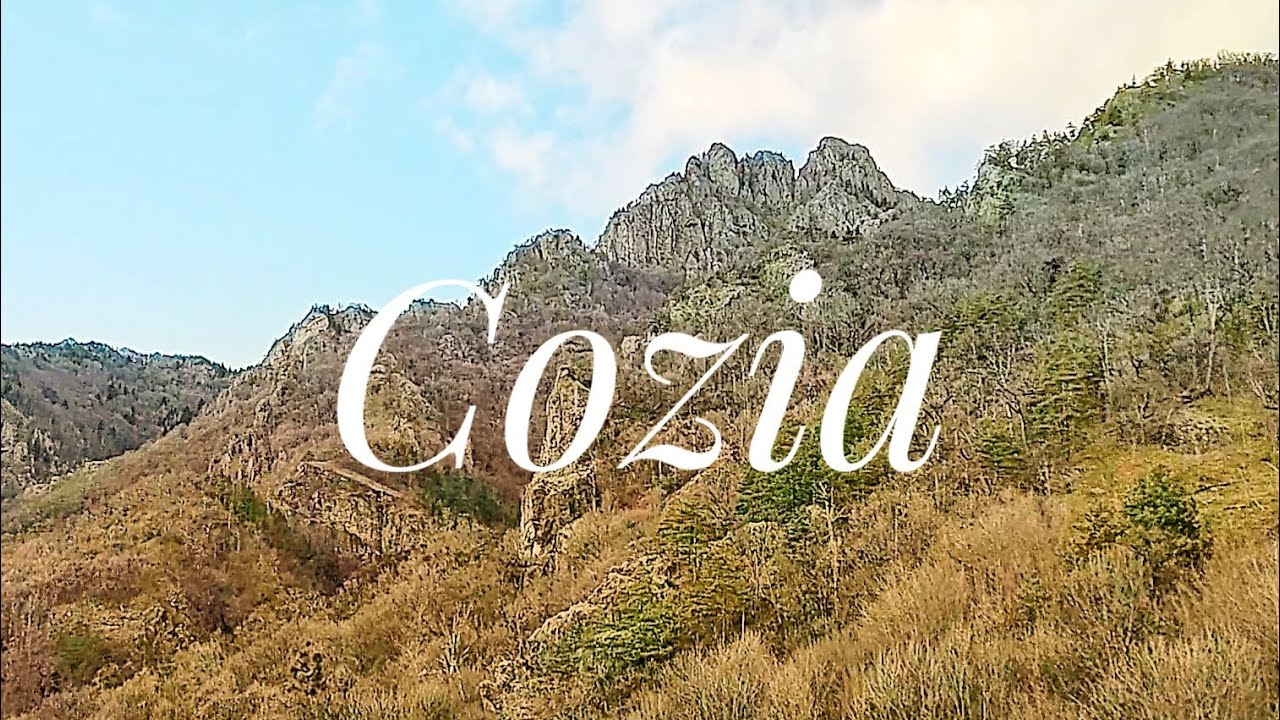 COZIA  - 22.12.2023