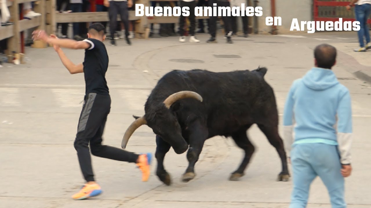Menudo toro capon!! Encierro en Arguedas (9/04/2023)
