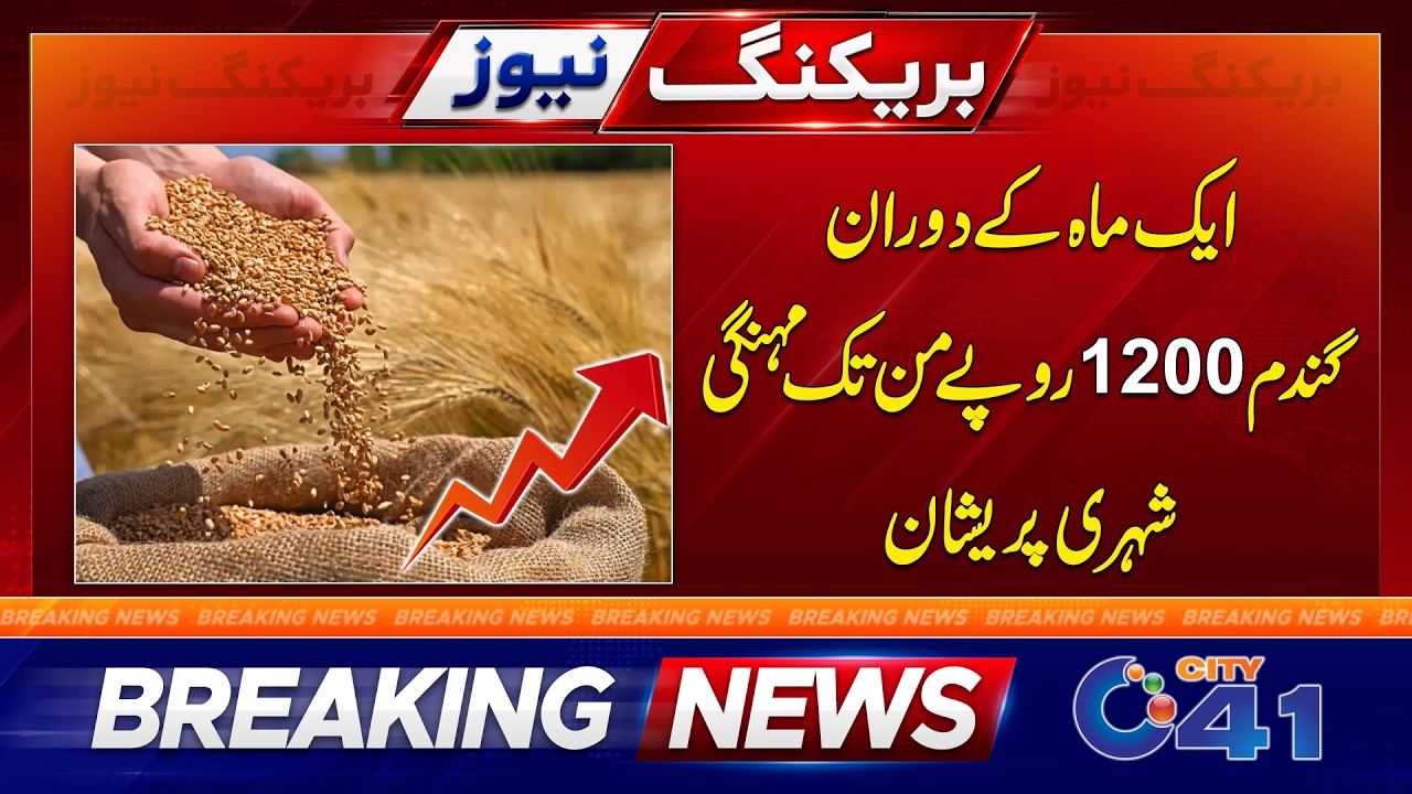 Wheat Price Shock | Rs 1,200 Increase in a Month | Breaking News | City 41