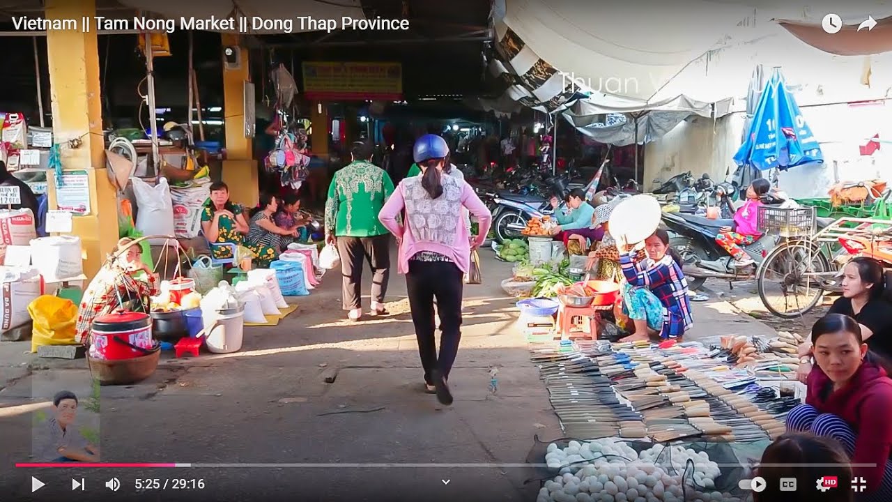 Vietnam || Tam Nong Market || Dong Thap Province