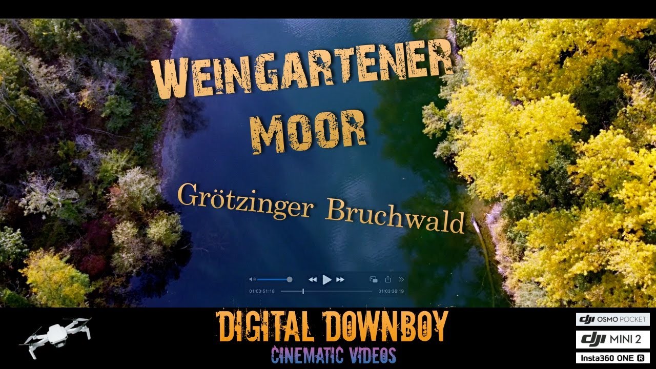 Das Weingartener Moor (Baden). Beobachtungen mit DJI Mini 2, Osmo Pocket & Insta360 OneR.