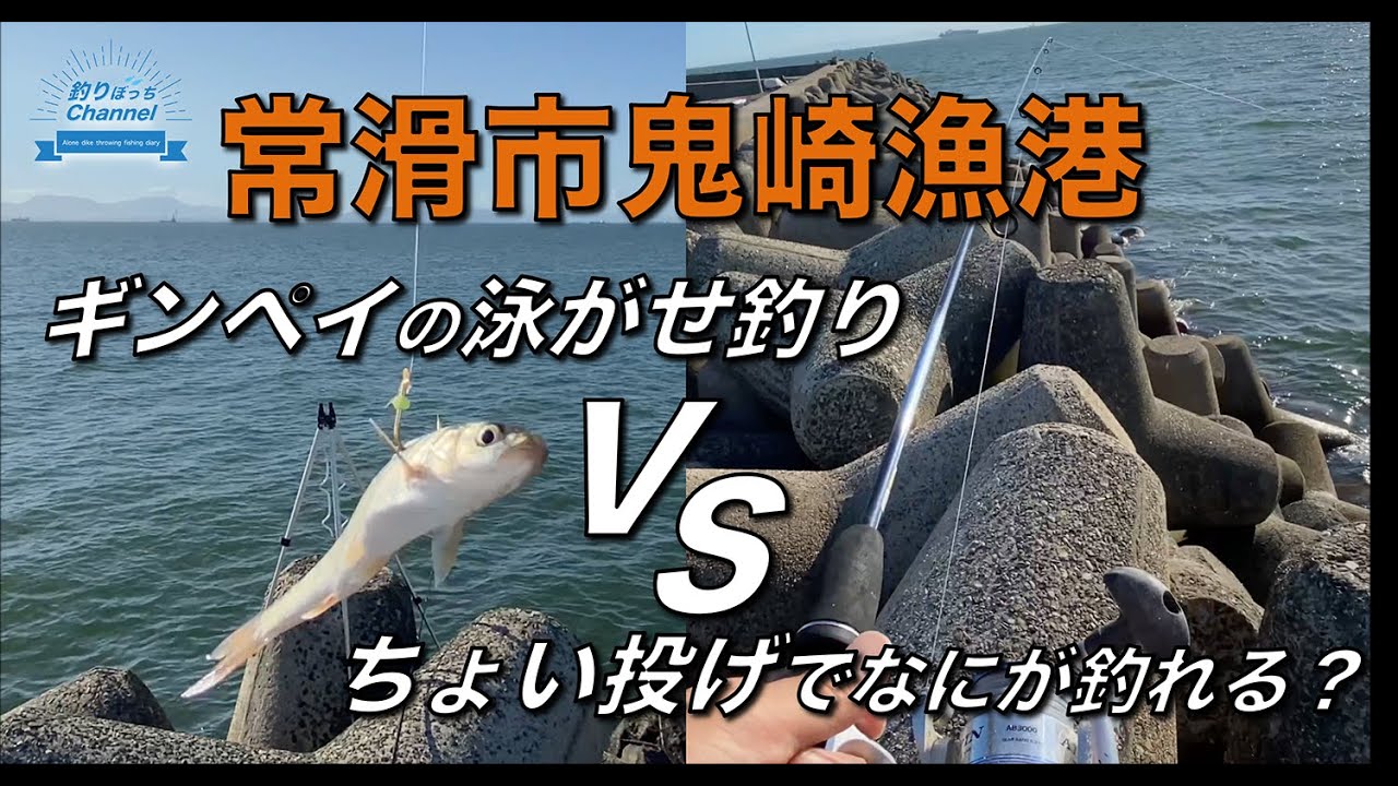 【鬼崎漁港】ギンペイの泳がせ釣り初挑戦！ちょい投げでアタリが続出！？