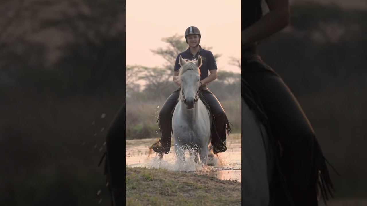 Cantering through water on horseback. #equestrian