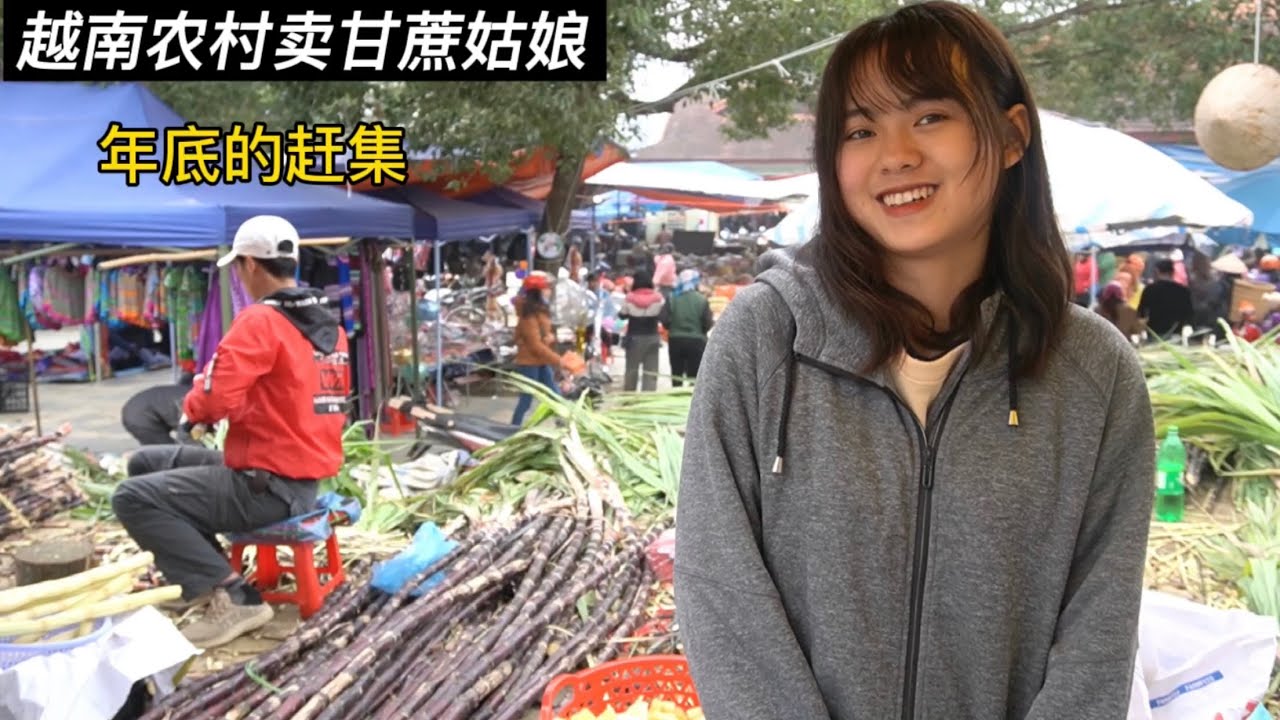 越南農村姑娘在年底的趕集賣甘蔗，好像她愛上我了。