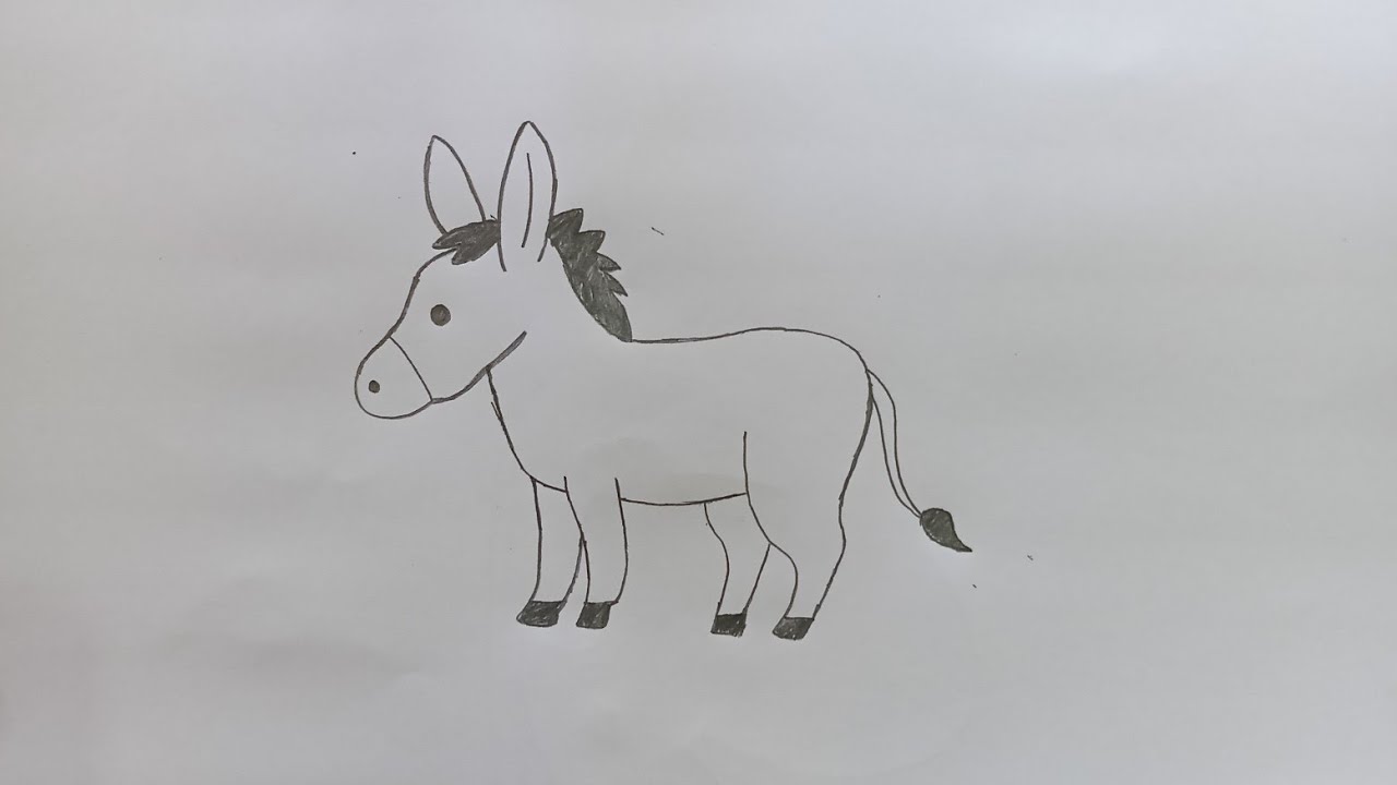Donkey drawing 🐴🐴🐴🐴