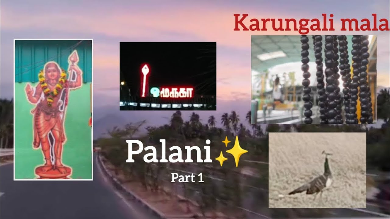 Bengaluru to Palani drive 389 kms  Day 1 by Road Temple Run #karungali#mala#muruga#devotion