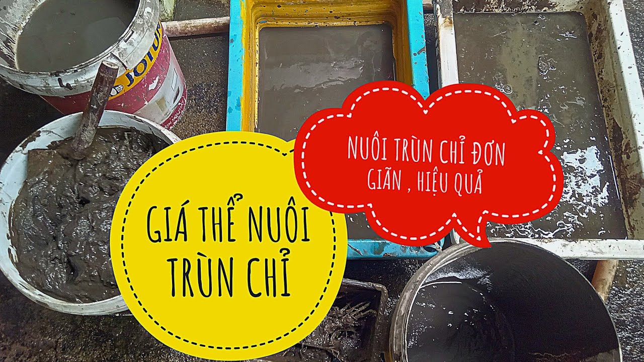 NUÔI TRÙN CHỈ = KHAY 1 ( giá thể nuôi trùn chỉ ) 