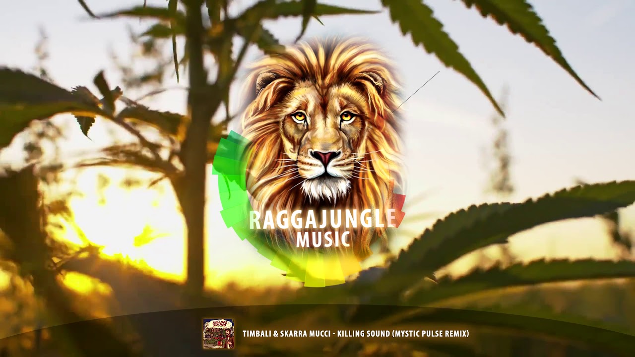 Timbali & Skarra Mucci - Killing Sound (Mystic Pulse Remix)