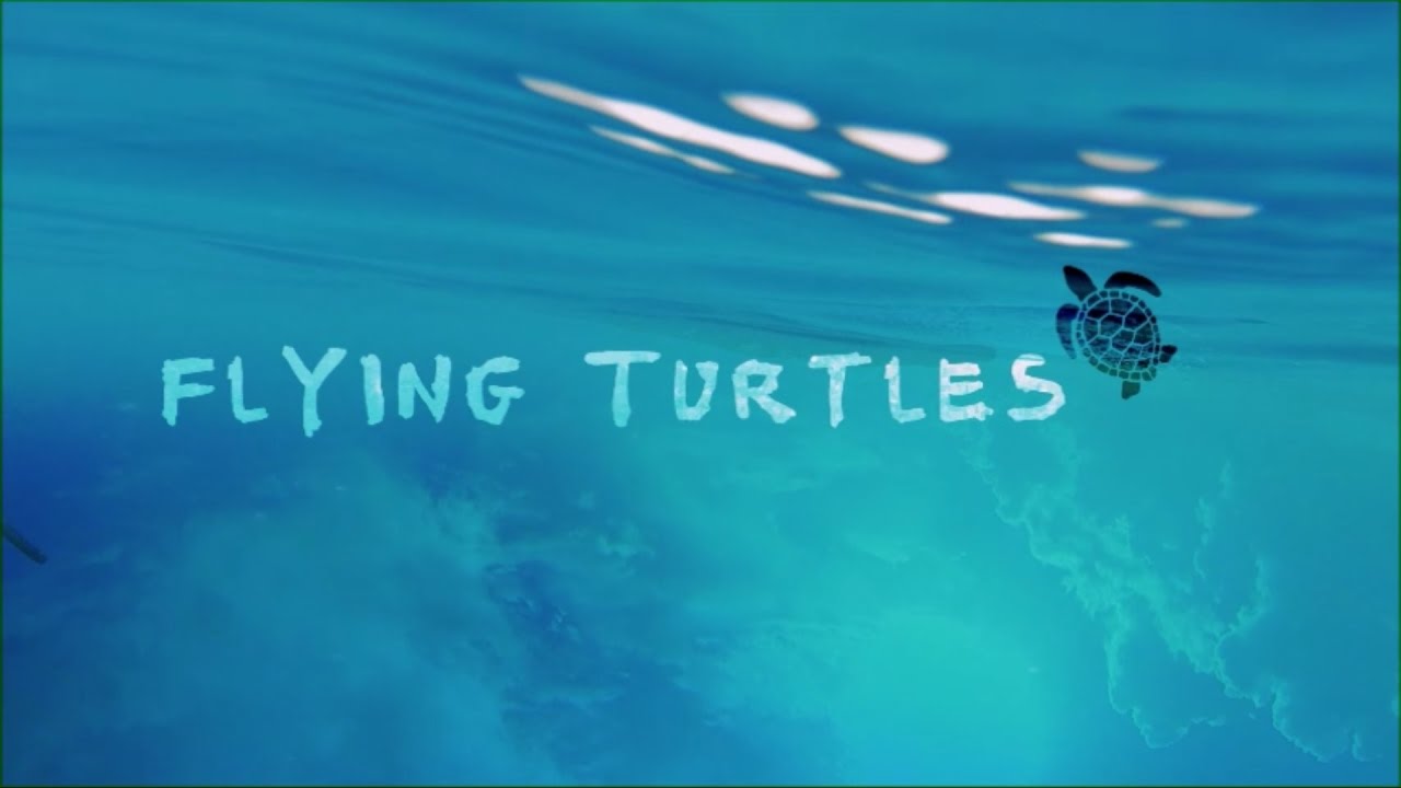 Flying Turtles