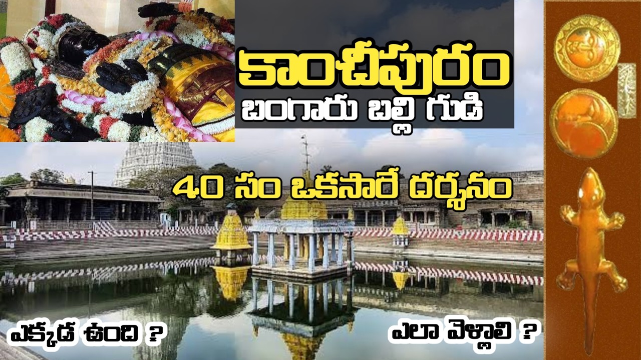 Kanchipuram varadharaja swamy temple full tour in Telugu | Kanchi temple |