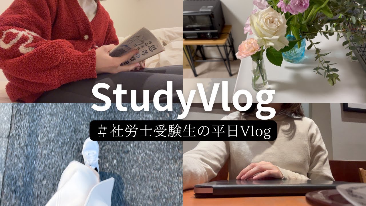【StudyVlog】社労士勉強平日Vlog / 朝と夜に勉強する1日