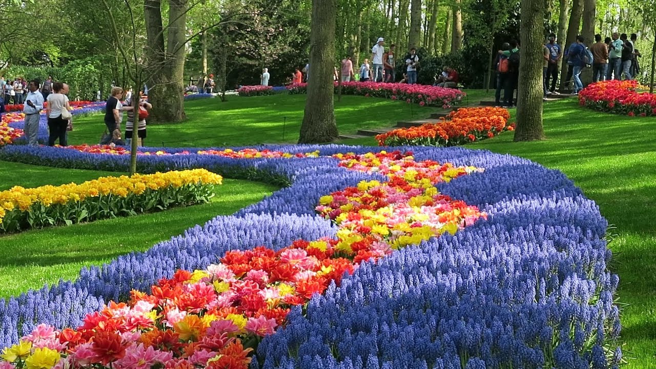 Keukenhof 2019