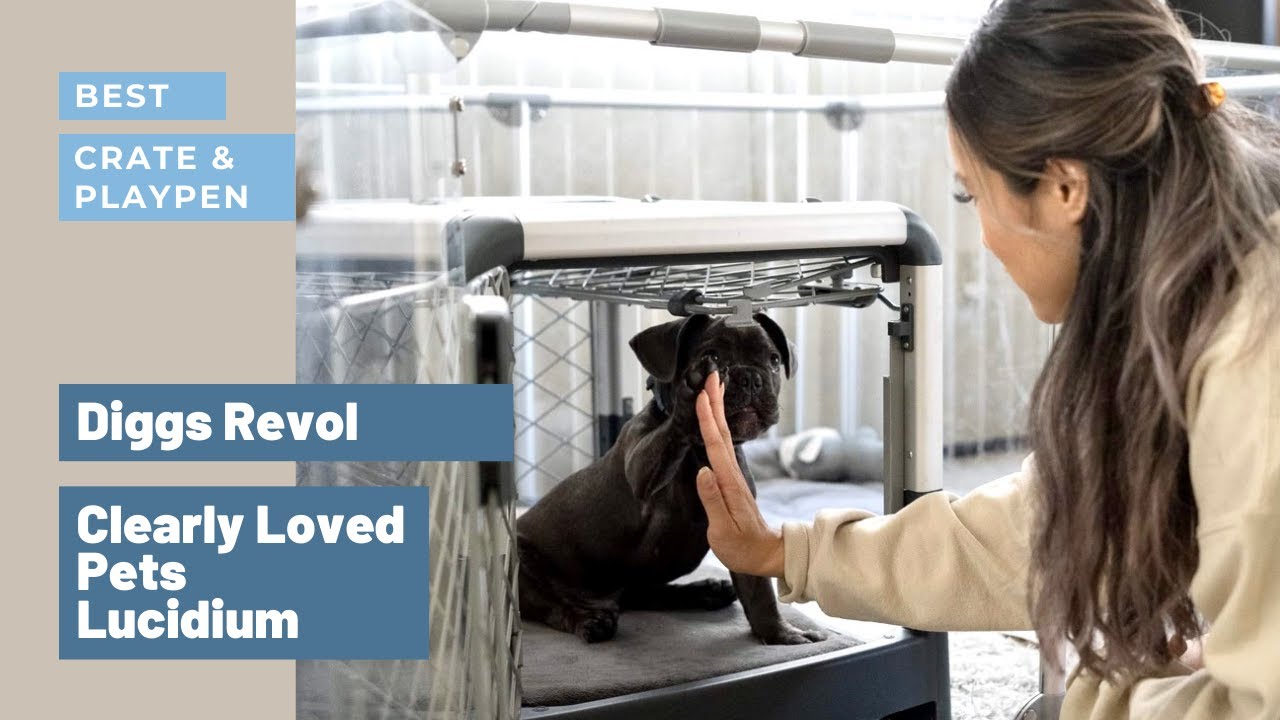 Best Dog Crate and Playpen Setup | Diggs Revol Dog Crate + Clearly Loved Pets Lucidium Pen Review