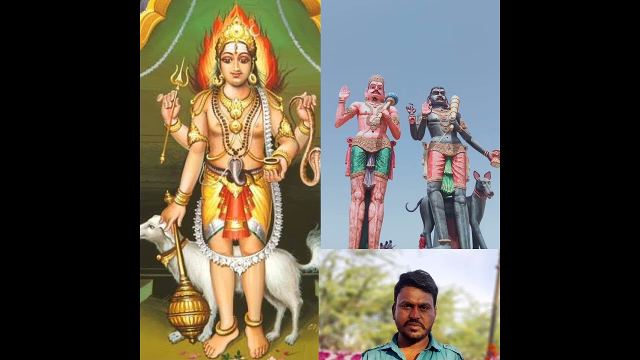 वाडियो ना भेमरा  सिंगर अर्जुन परमार 