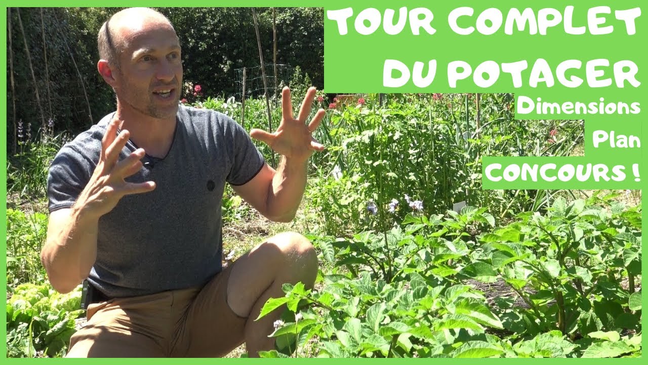 Tour méga complet du potager - plan - dimensions & concours ! #mai2020