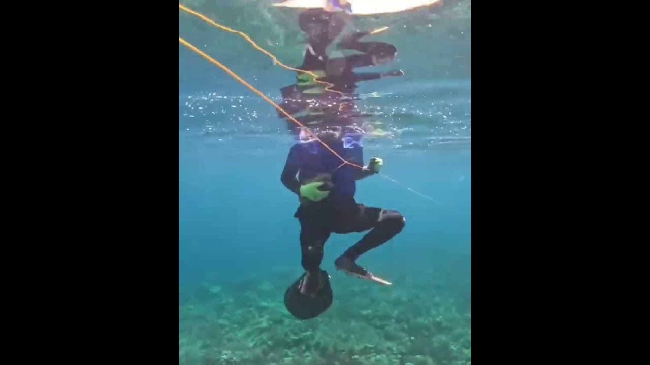 Lagi lagi pemasangan pancing rawe umpan jitu buat ikan krapu 