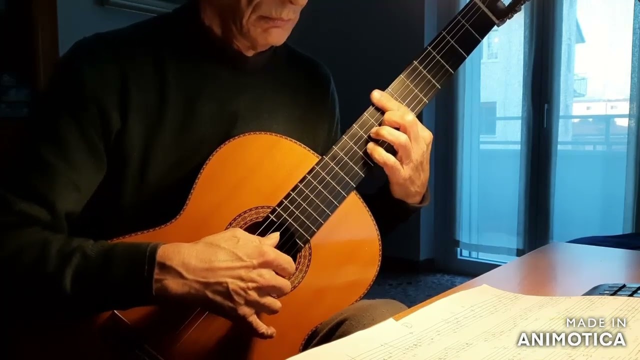 Franz Schubert -   Serenade (Ständchen) - guitar solo